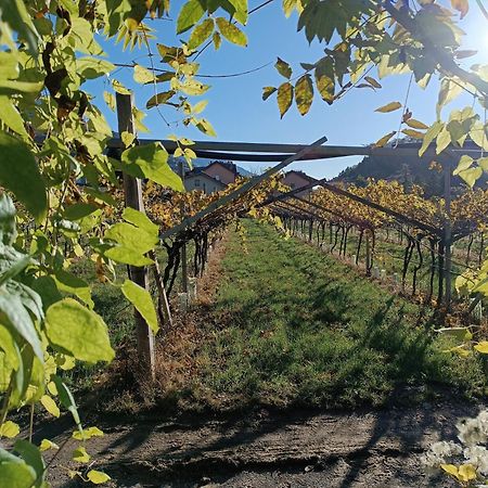 Appartamenti Moderni, Luminosi E Tranquilli Con Parcheggio Privato - Agritur La Tenuta Trento Esterno foto