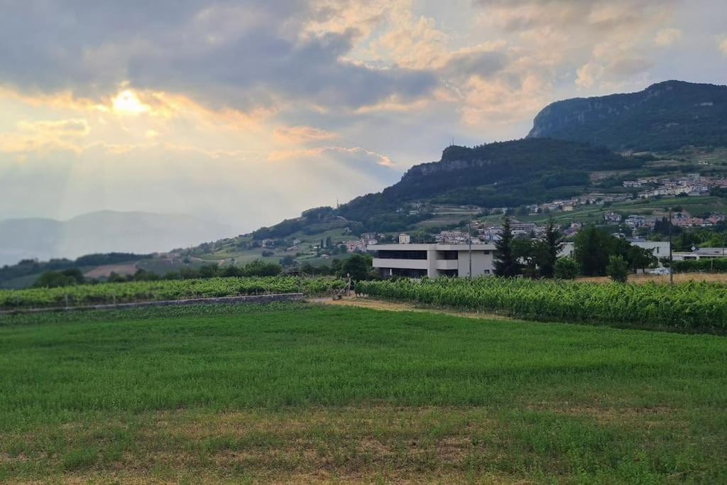 Appartamenti Moderni, Luminosi E Tranquilli Con Parcheggio Privato - Agritur La Tenuta Trento Esterno foto