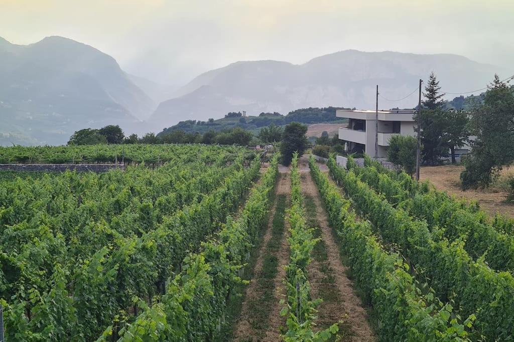 Appartamenti Moderni, Luminosi E Tranquilli Con Parcheggio Privato - Agritur La Tenuta Trento Esterno foto