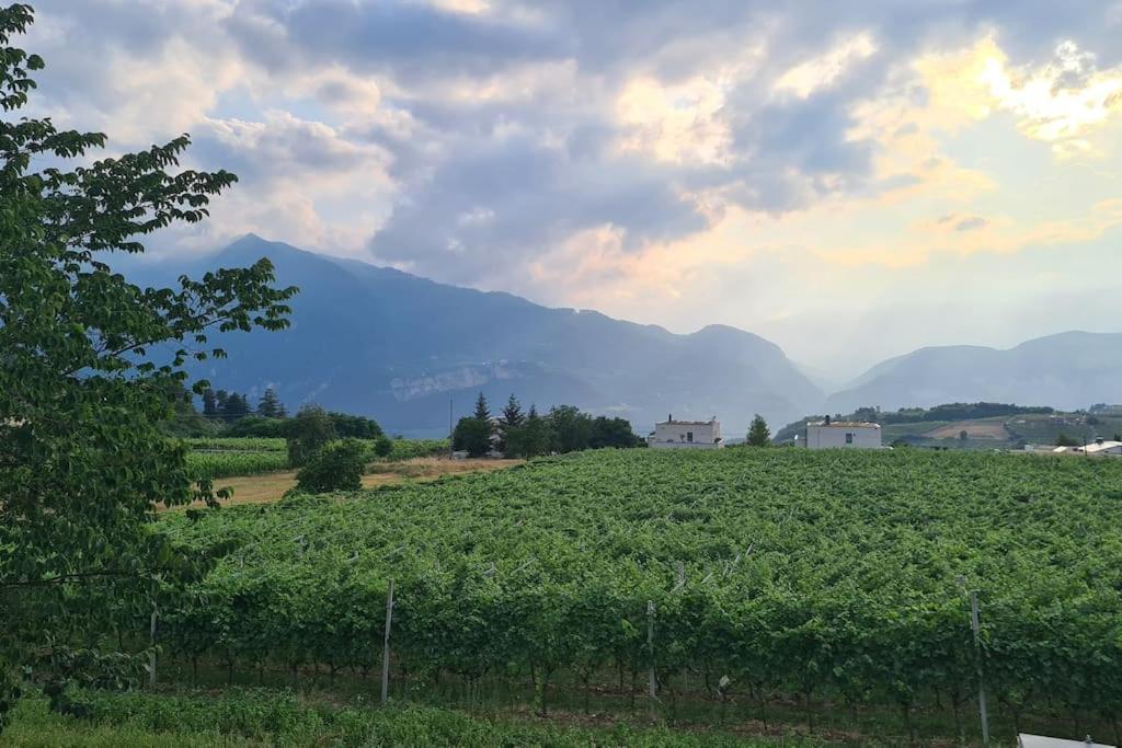 Appartamenti Moderni, Luminosi E Tranquilli Con Parcheggio Privato - Agritur La Tenuta Trento Esterno foto