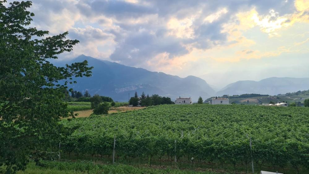 Appartamenti Moderni, Luminosi E Tranquilli Con Parcheggio Privato - Agritur La Tenuta Trento Esterno foto