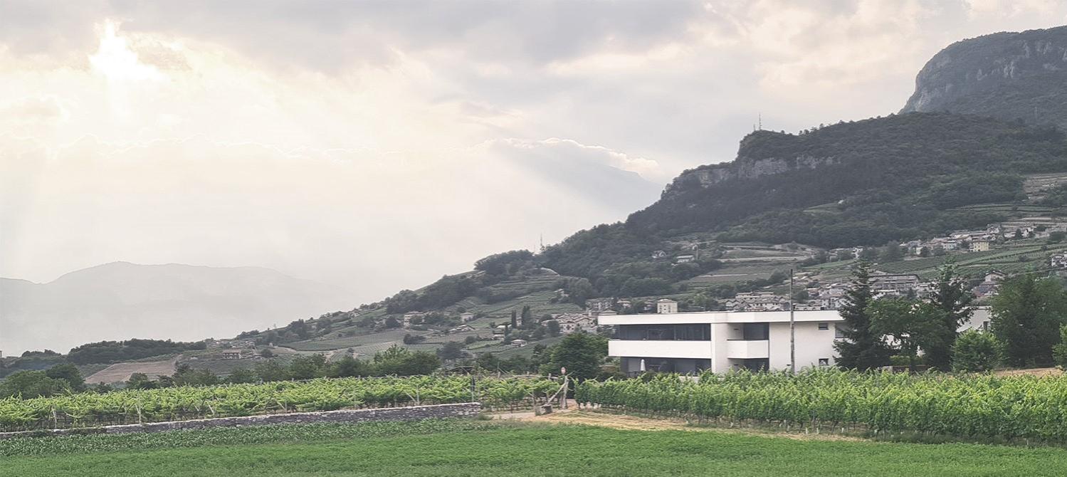Appartamenti Moderni, Luminosi E Tranquilli Con Parcheggio Privato - Agritur La Tenuta Trento Esterno foto