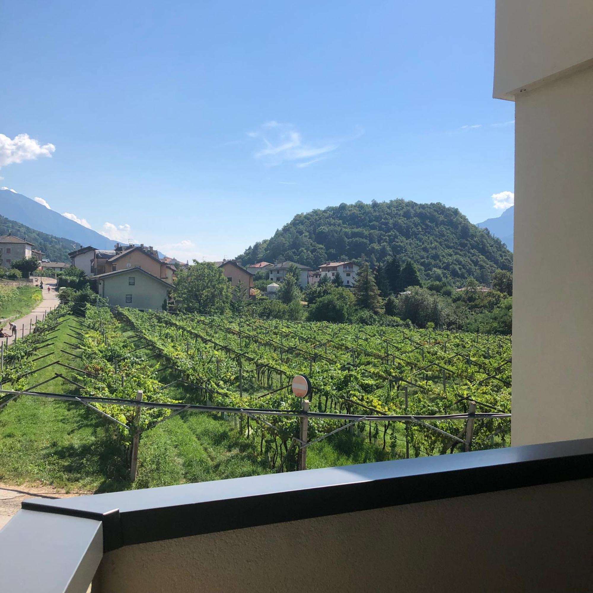 Appartamenti Moderni, Luminosi E Tranquilli Con Parcheggio Privato - Agritur La Tenuta Trento Esterno foto