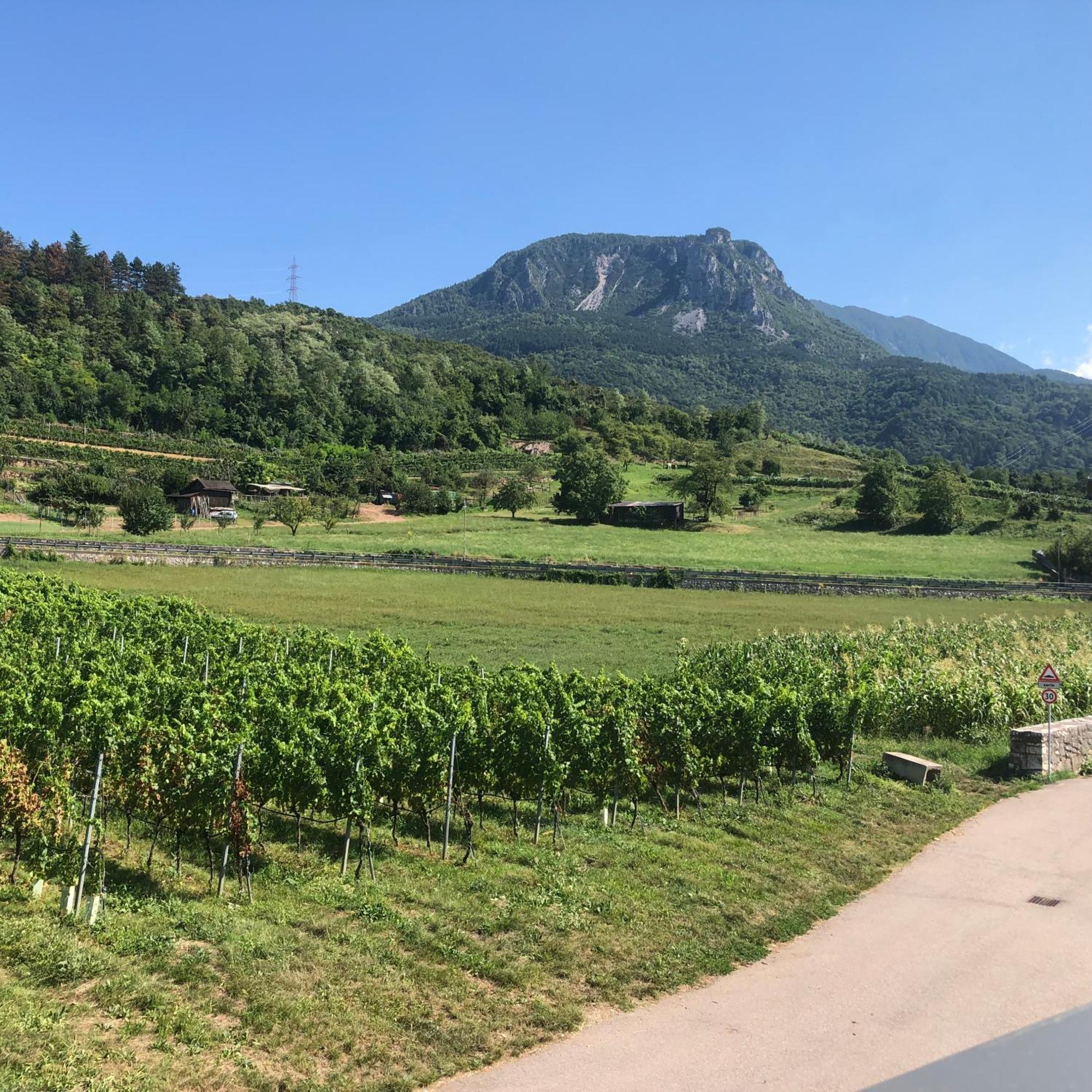 Appartamenti Moderni, Luminosi E Tranquilli Con Parcheggio Privato - Agritur La Tenuta Trento Esterno foto
